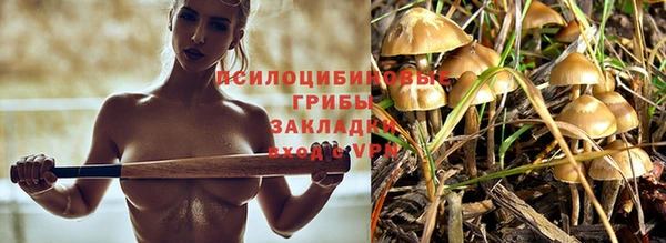 прущие крисы Кодинск